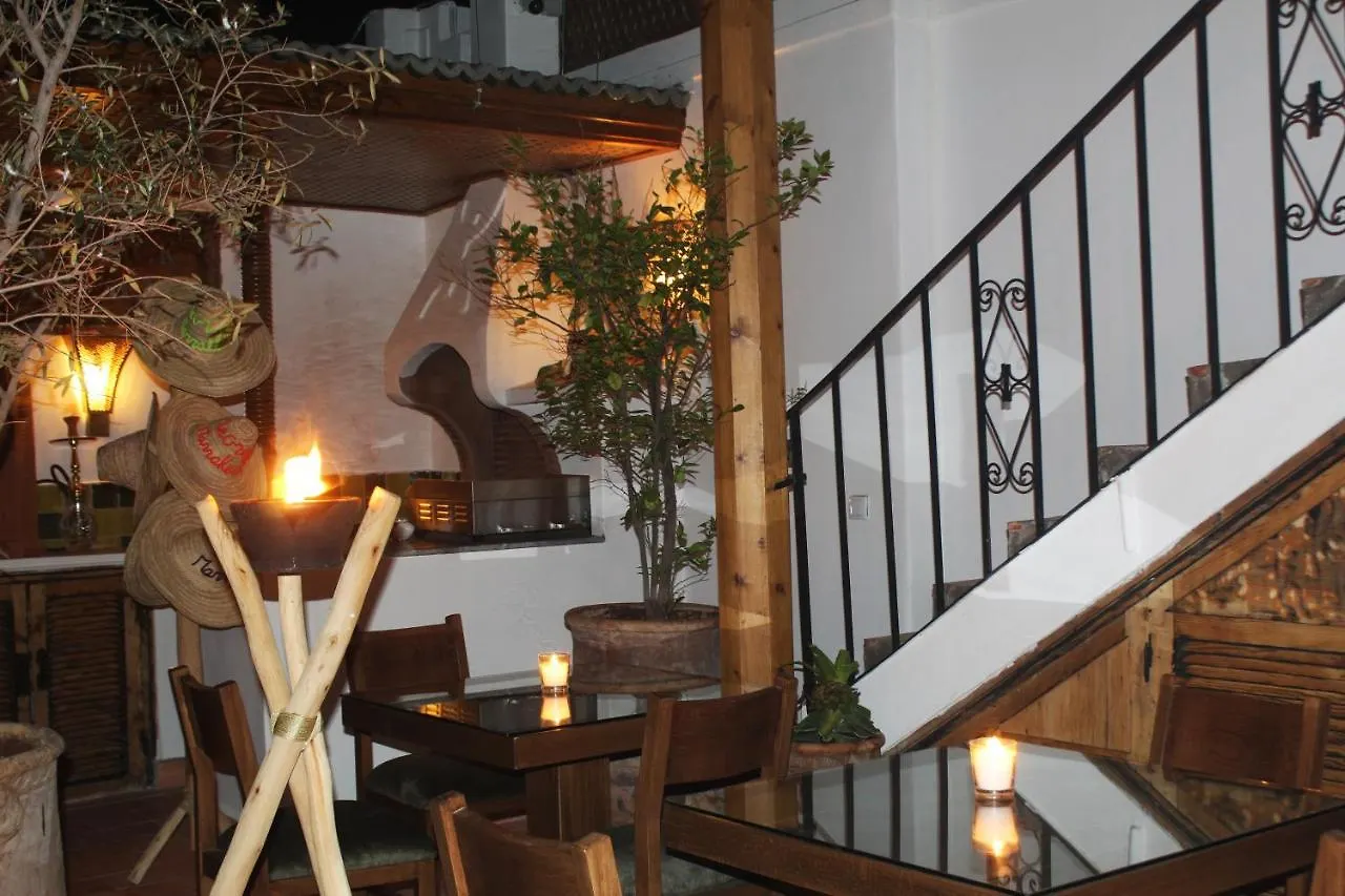 Guest house Riad Luxe Location Le Grizzly Marrakesh Morocco